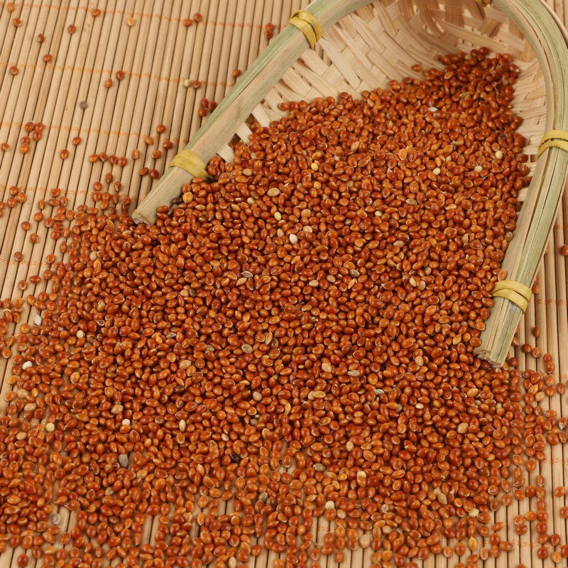 Wholesale Bird Food from Local Farmers: Shelled Red Millet Bird Feed, Millet Pillow Filling, Red Millet, Sorghum Varieties