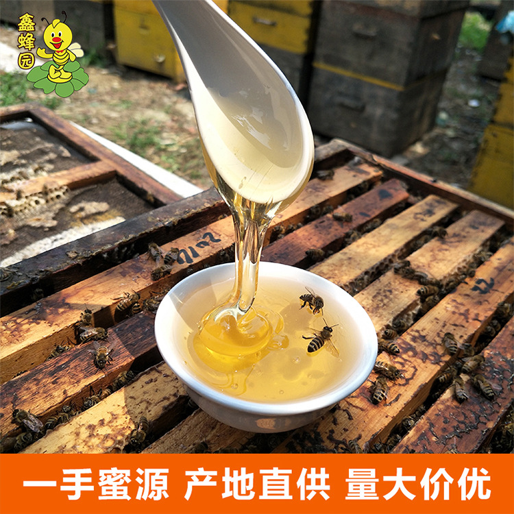 Xinbee garden strength source bee farm farm self-produced leisure food in the season pharmaceutical factory with 40 kilograms of Hundred Flowers honey
