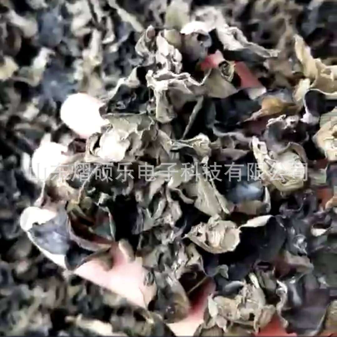Factory Wholesale Black Fungus White Back Fungus Specialty Hair Fungus Wholesale Gift Black Fungus Dry Goods Factory Direct