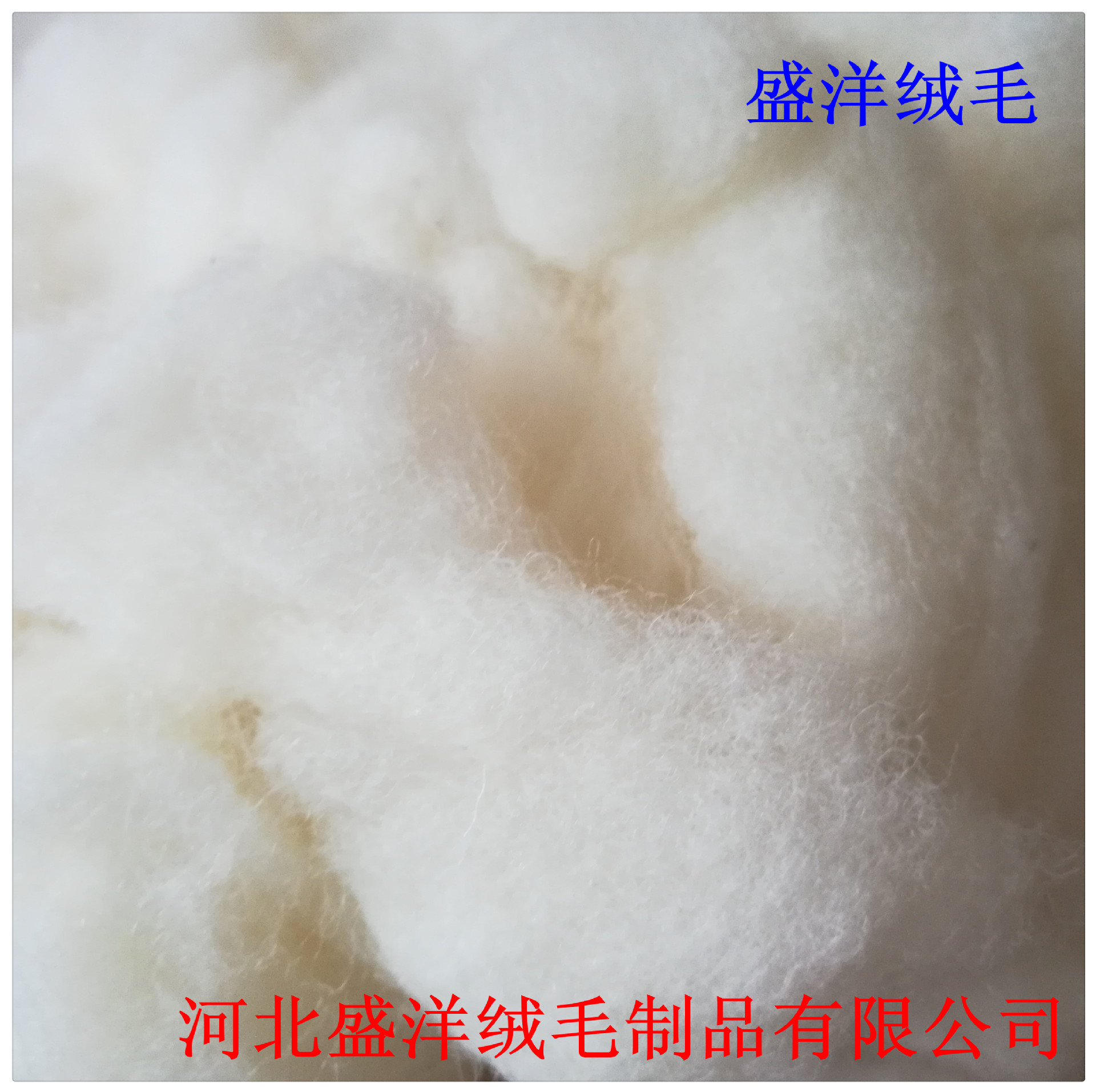 Factory wholesale wool degreased british wool filling wool clean no odor wool raw material