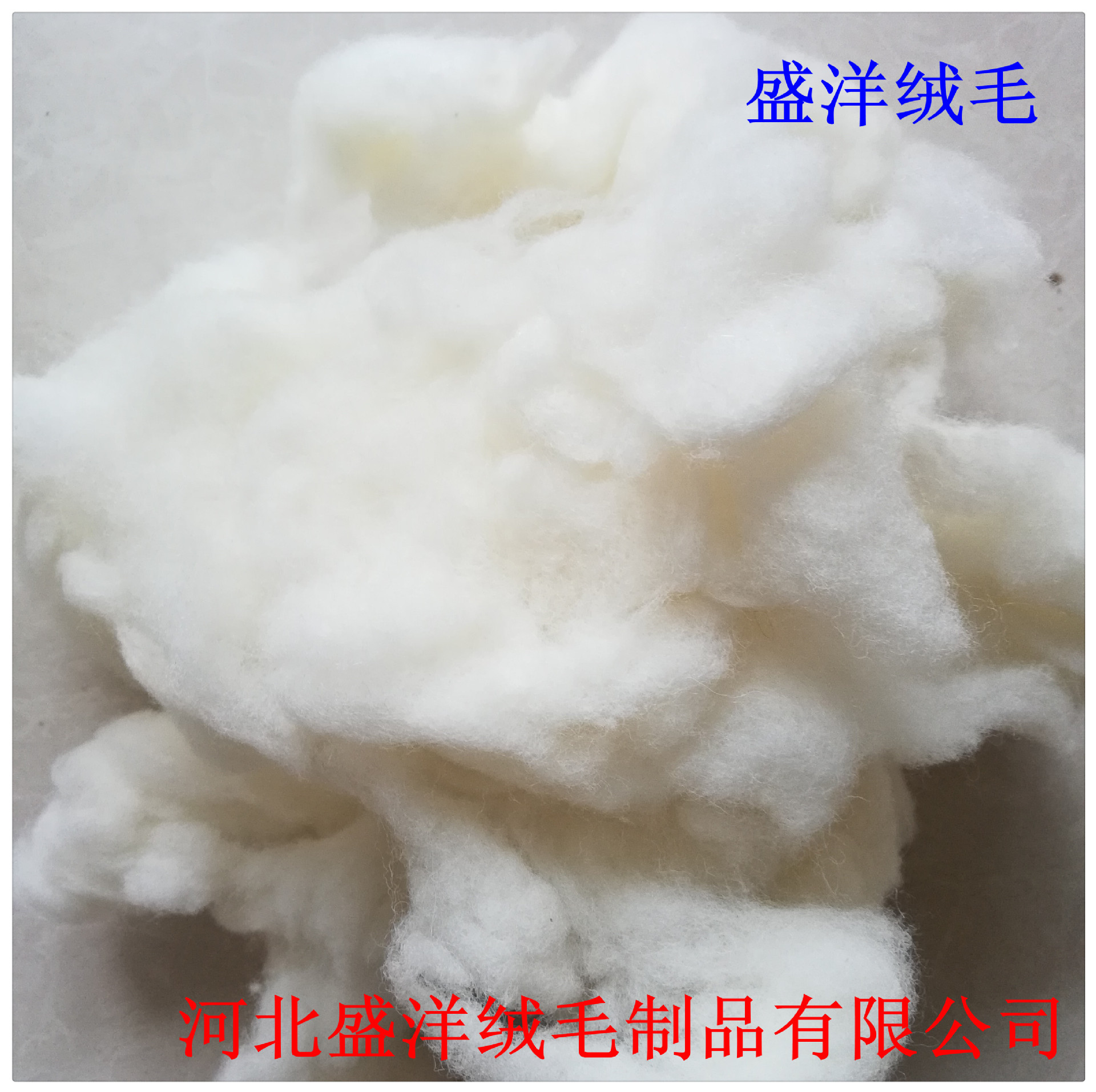 Factory wholesale wool degreased british wool filling wool clean no odor wool raw material