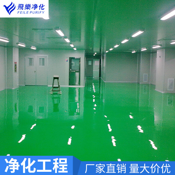 Biological Laboratory Purification Project, Dust-Free Workshop, Sterile System Installation, Food Factory Class 100 Purification Decoration Design