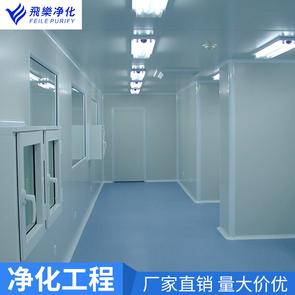 Biological Laboratory Purification Project, Dust-Free Workshop, Sterile System Installation, Food Factory Class 100 Purification Decoration Design