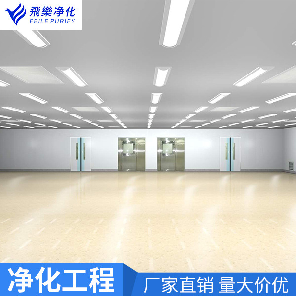 Biological Laboratory Purification Project, Dust-Free Workshop, Sterile System Installation, Food Factory Class 100 Purification Decoration Design