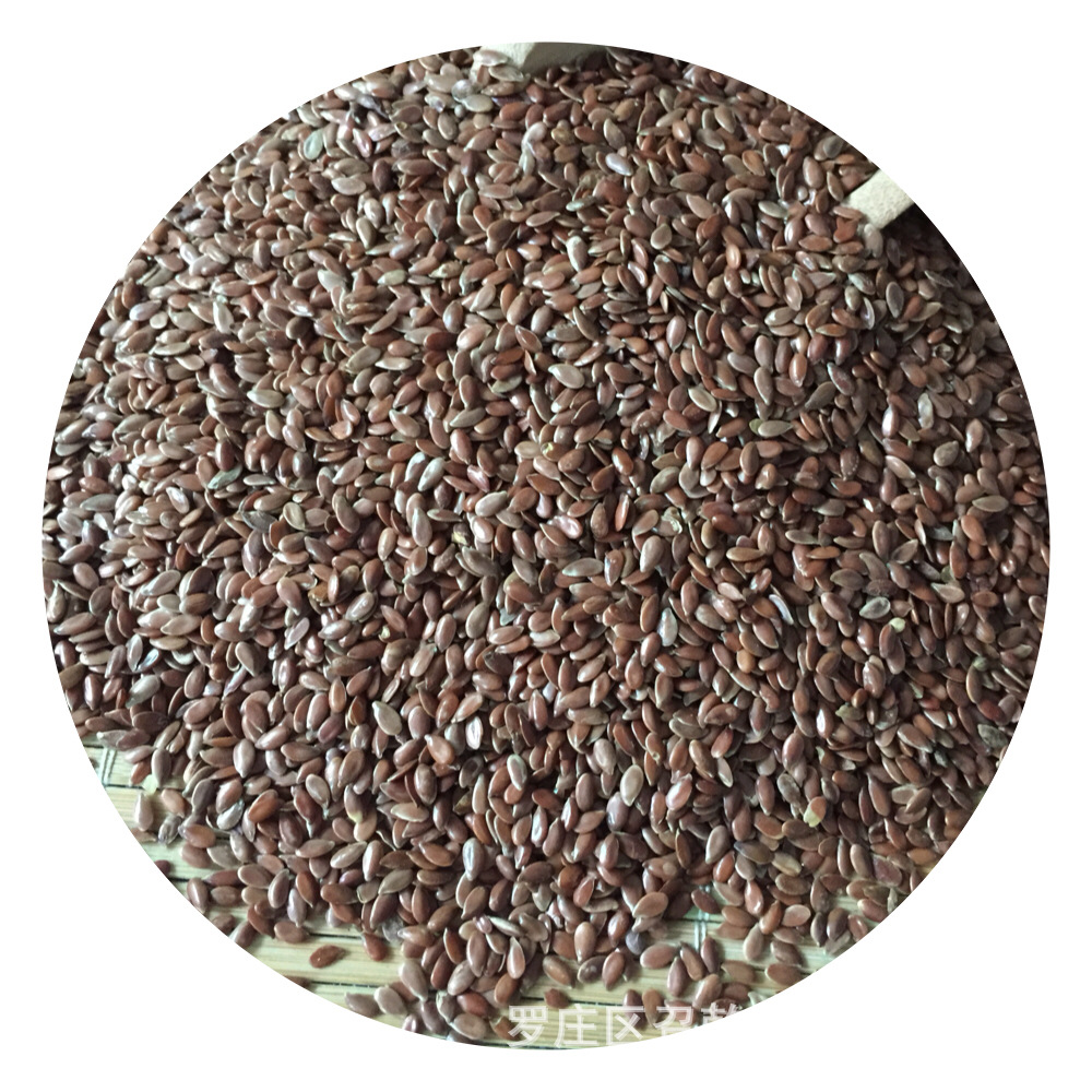 Brown Flaxseed Wholesale Brown Flaxseed Inner Mongolia Flaxseed Flaxseed Oil Raw Material Flaxseed