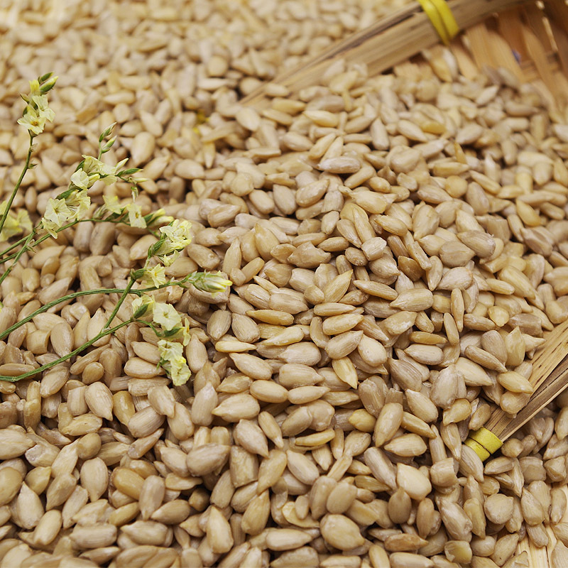 High oil yield sunflower seed kernel 500g small grain melon seed kernel