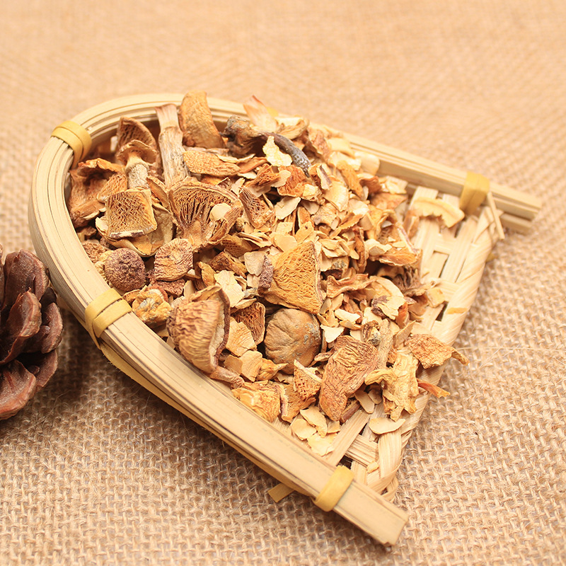 Экстракт Агарикс Блазеи фрагменты Агарикс Блазеи отходы Агарикс Блазеи аксессуары Агарикс Блазеи кормление