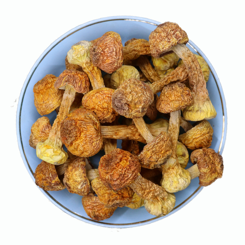 Yunnan Agaricus blazei dried goods wholesale new products Brazil mushroom edible fungus mushroom 500g bulk pine mushroom