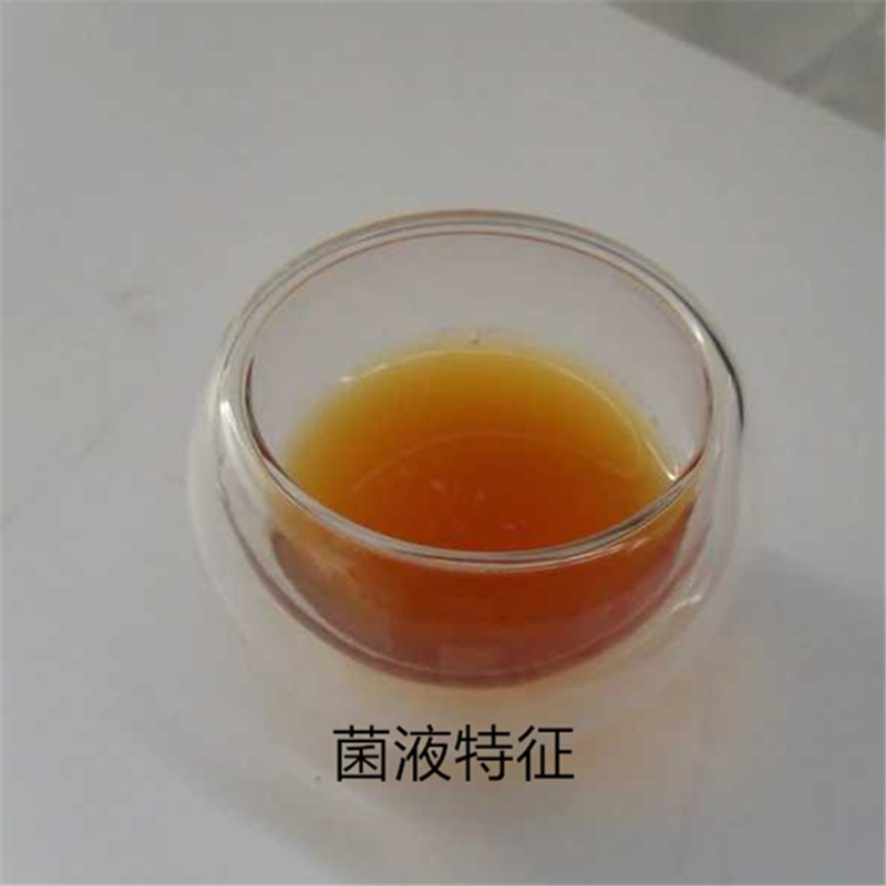 Microbial deodorant dry toilet septic tank farm garbage farm kitchen waste sewer degradation deodorant agent