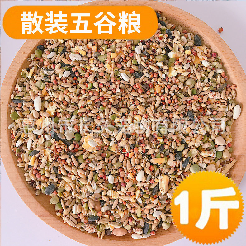 Оптовая продажа корма для белок фрукты морепродукты корм для хомяков основные закуски корм для птиц