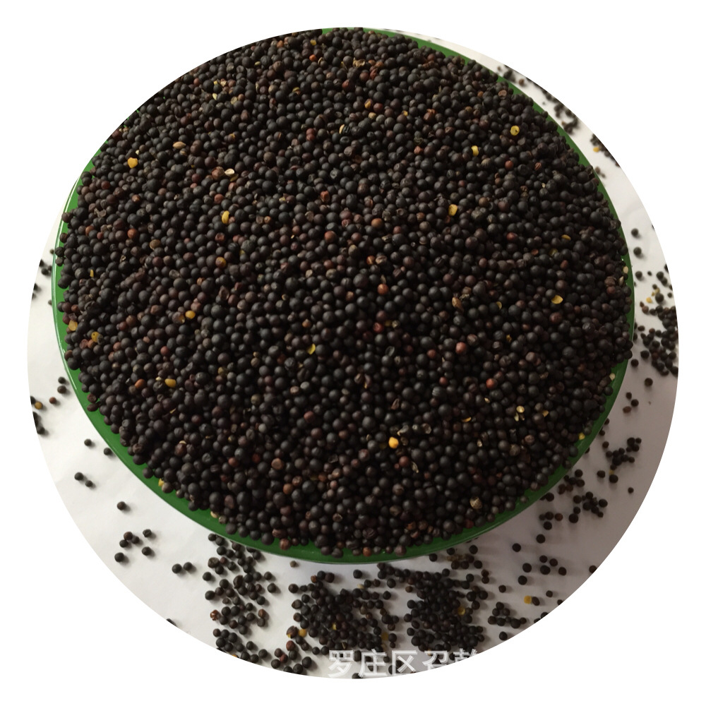 Rapeseed wholesale supply rapeseed oil extraction special rapeseed feed special cereals rapeseed