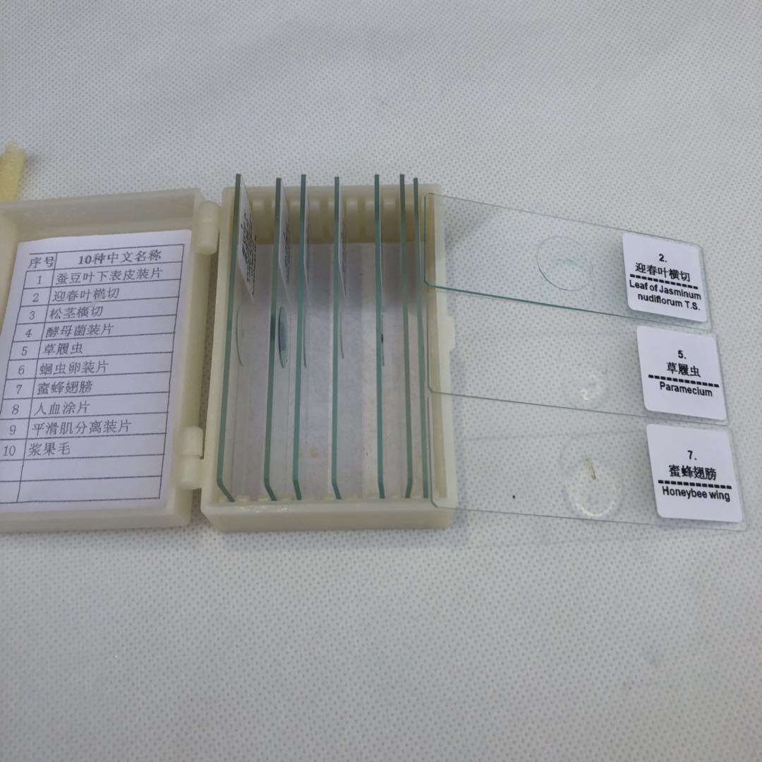Microscope biological slice biological specimen specimen slice 10 pieces suit
