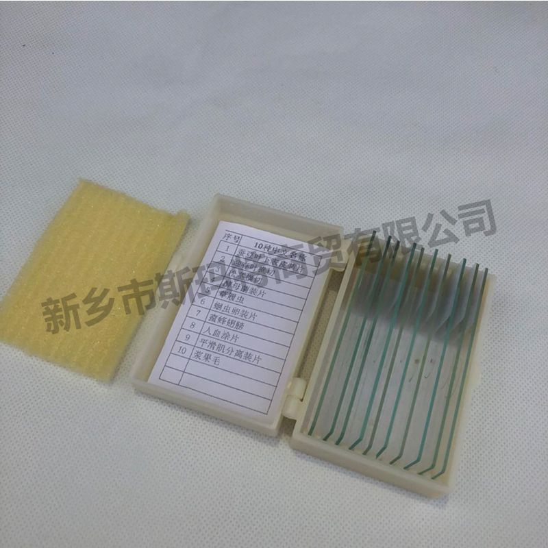 Microscope biological slice biological specimen specimen slice 10 pieces suit