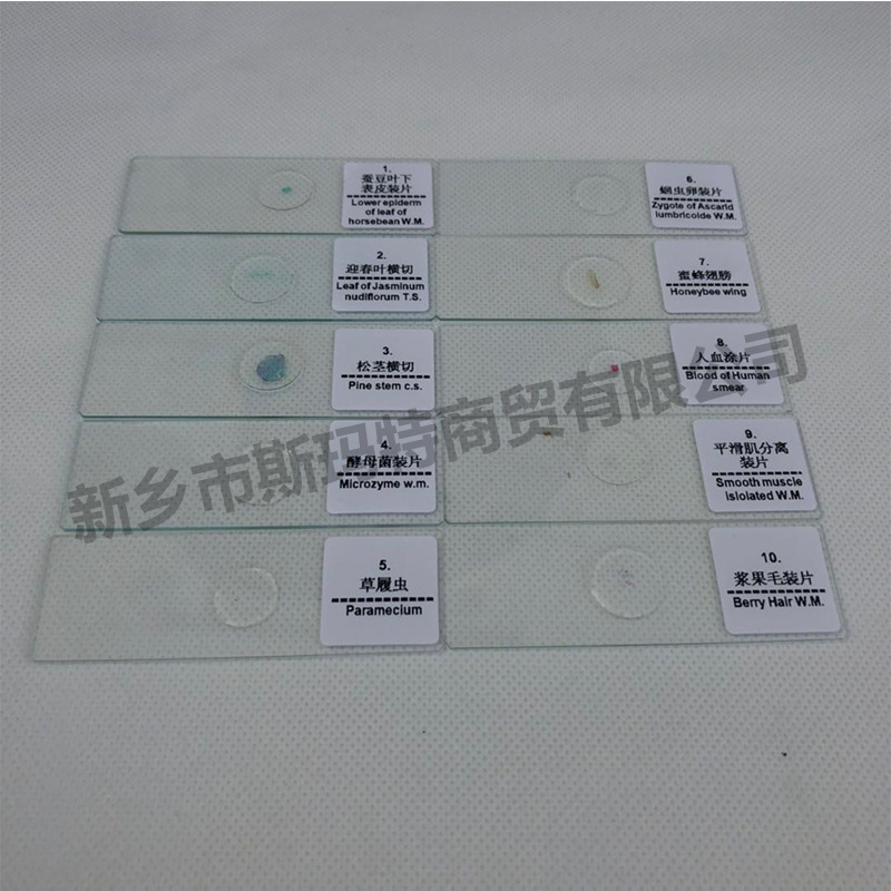 Microscope biological slice biological specimen specimen slice 10 pieces suit