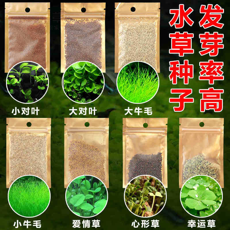 Ecological Fish Tank Size Folio Cow Hair Grass Seeds Pearl Aquatic Plants Seeds Fish Tank Landscaping Decoration Landscaping Aquatic Plants Seeds