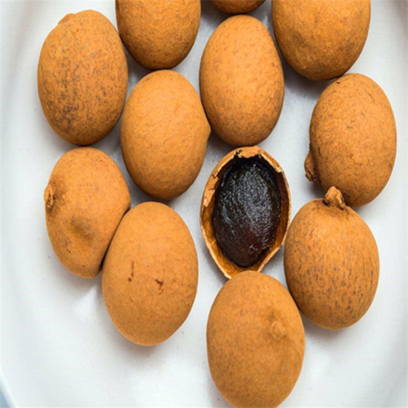 New Arrival, Large Longan, Dried Longan, Dried Fruit, Primary Food Raw Materials, Original Flavor, No Additives, Bulk Packaging, Batch Price