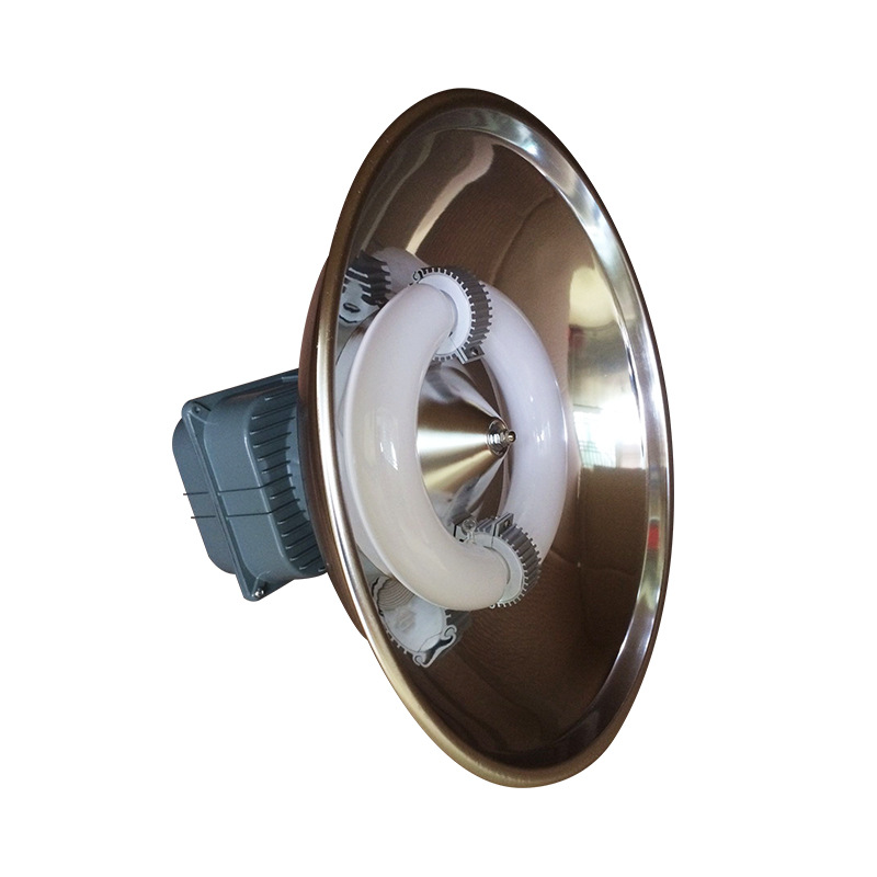 Manufacturer Supplies Factory Dust-Proof and Explosion-Proof Induction Lamp Rectangular Hoisting Energy-Saving Floodlight Induction Lamp 200W Induction Lamp