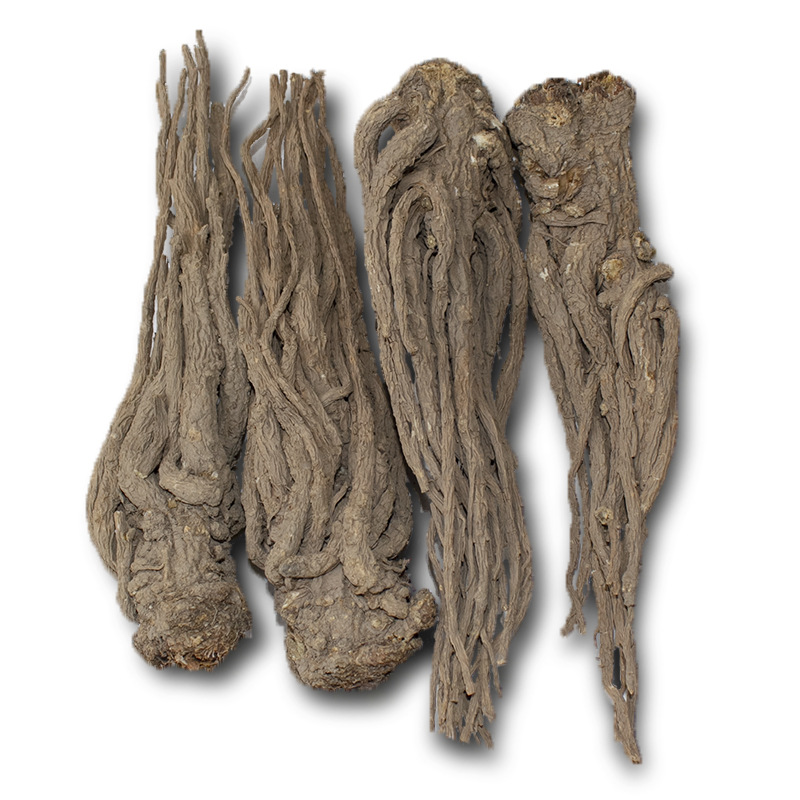 8-10 Pieces 0.5kg Angelica Sinensis Wholesale Free Shipping Gansu Minxian Large Angelica Chinese Medicinal Materials Non-Sulfur Smoked Angelica Strips