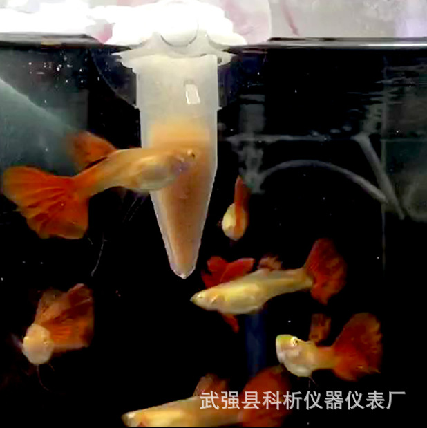 Fengnian Shrimp Egg Feeder Automatic Feeder Ornamental Fish Feeding Small Fish Feeder Fish Tank Feeder