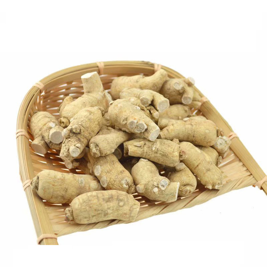 Northeast Changbai Mountain American ginseng grain first section slice American ginseng wholesale soft various specifications large goods feeding