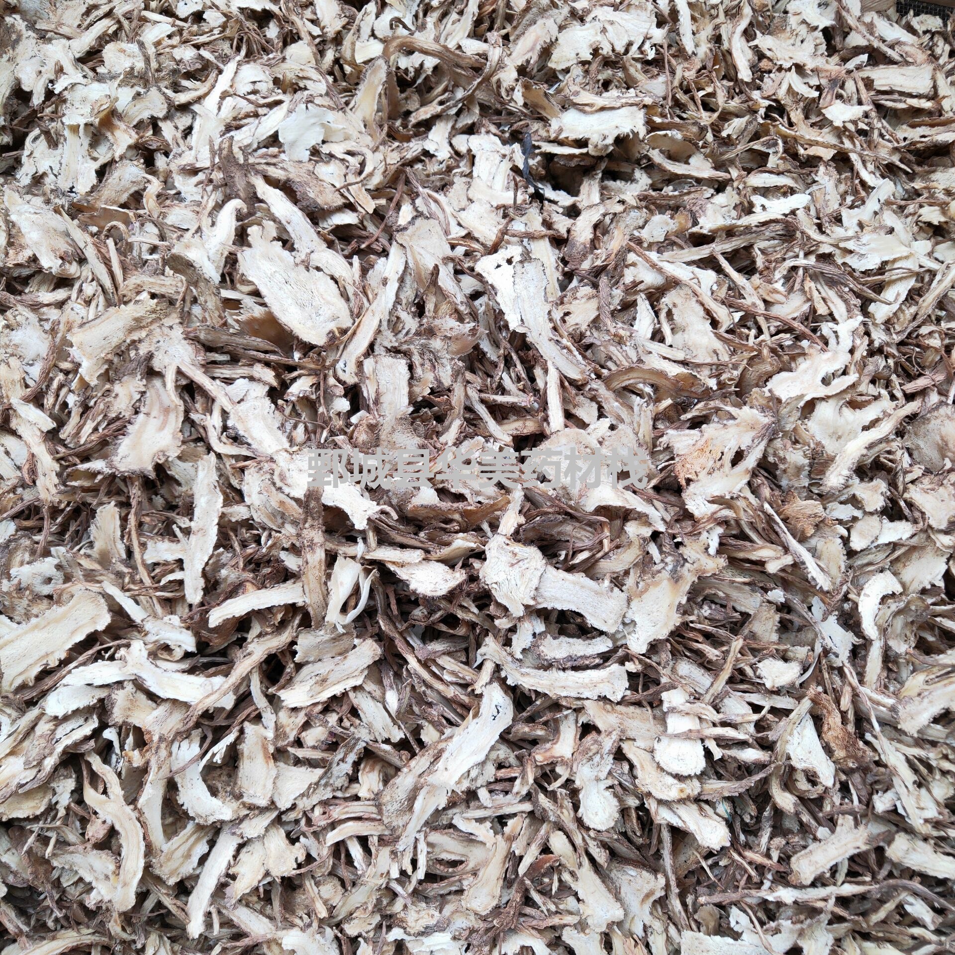 Angelica 1000 Grams of Huamei Chinese Medicinal Materials Wholesale Supply of New Goods Yixian Yishu's Complete Angelica Large Quantity Preferential Treatment