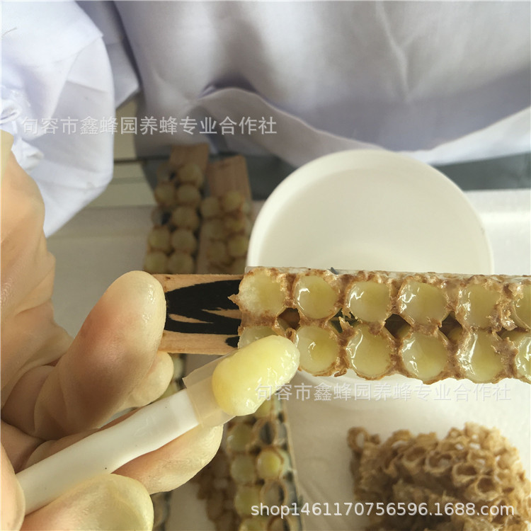 Xinbee garden 500g bottled fresh royal jelly self-owned bee farm wholesale and retail royal jelly royal jelly farm royal jelly retail