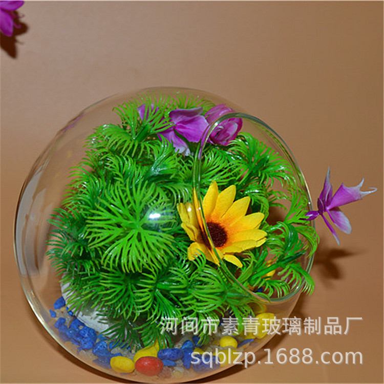 High borosilicate glass oblique vase micro landscape creative DI gamma fleshy hydroponic large and medium desktop ornaments vase