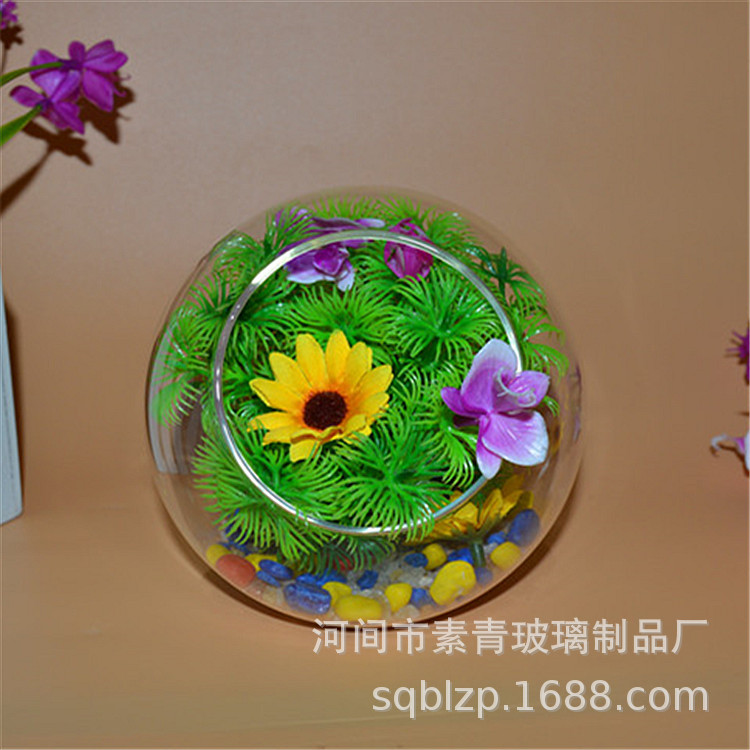 High borosilicate glass oblique vase micro landscape creative DI gamma fleshy hydroponic large and medium desktop ornaments vase