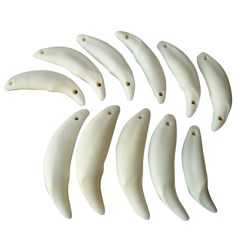 Real Dog Tooth Wholesale Tooth Pendant Bleached Black Dog Tooth Xizang Silver Necklace Jewelry Xizang Silver with Pendant Pig Bone Double