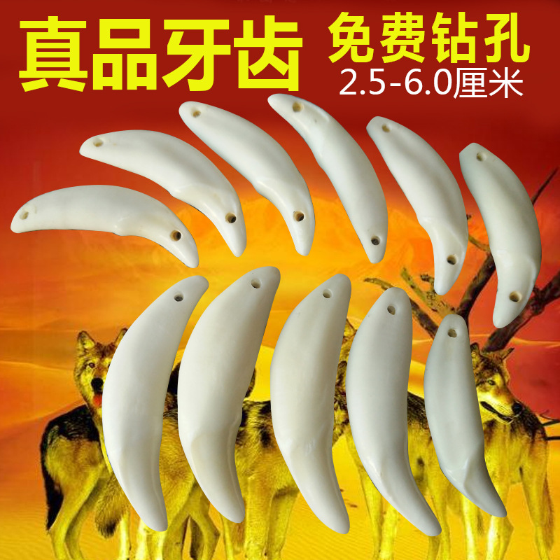 Оптовая подвеска из собачьего зуба, черный зуб, серебряное ожерелье