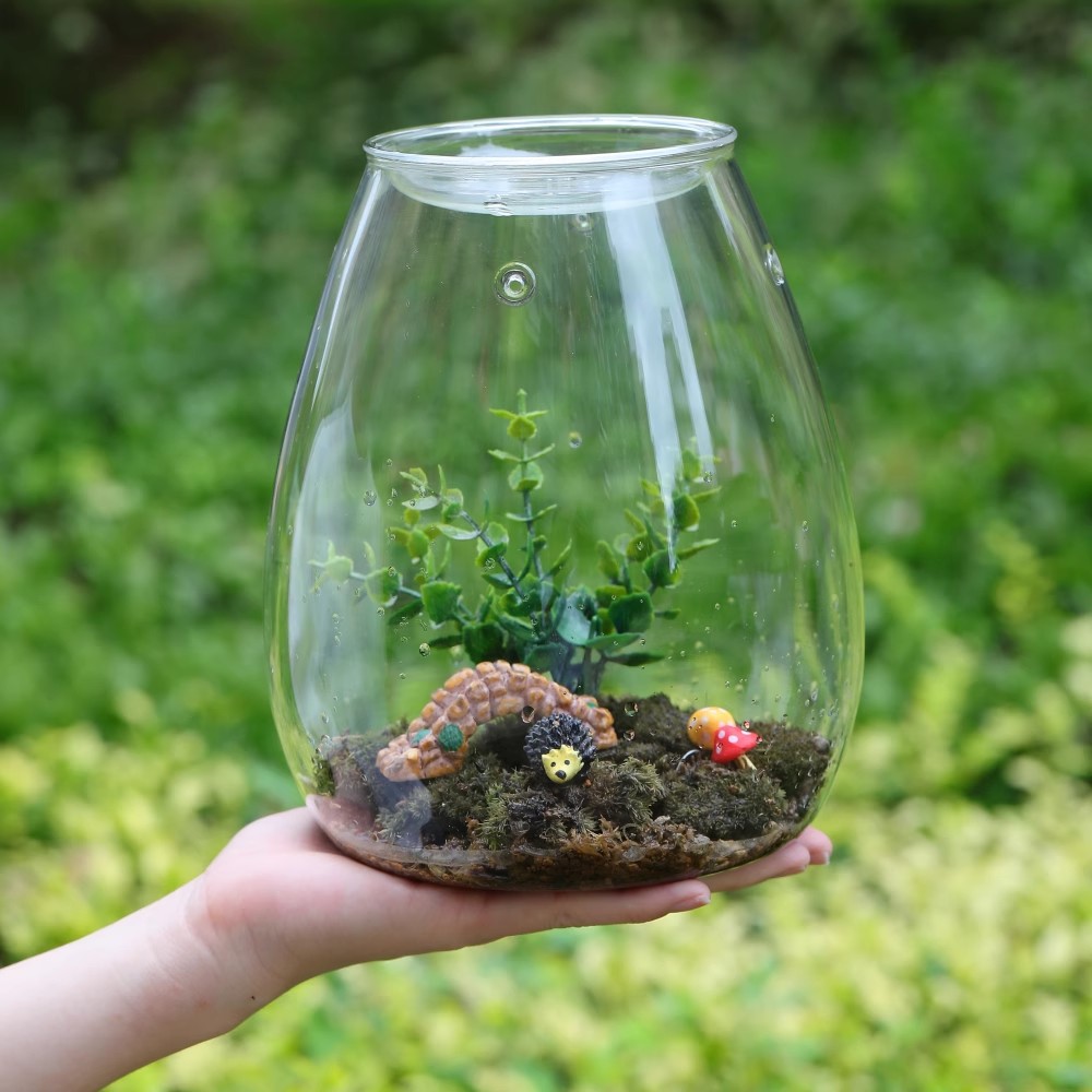 Glass bottle landscape natural tropical mini desk small decoration aquarium Moss ecological bottle