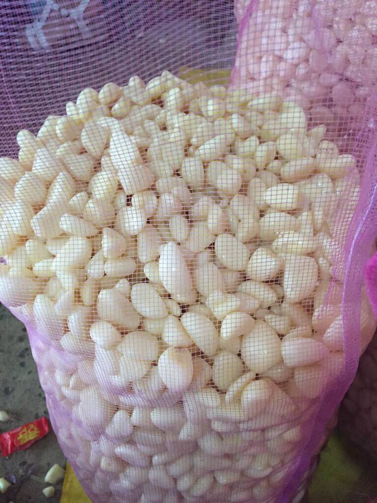 Peeled Garlic Cloves, 0.5kg Packs of Peeled New Garlic, Handmade Peeled Garlic Cloves, Dried Garlic Bulbs with Free Shipping