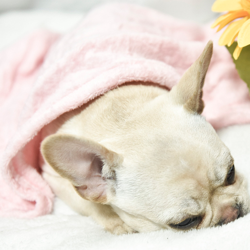 Manufacturer's Ready-Made Wholesale Pet Blanket Gift Matching Coral Velvet Flannel Air-Conditioning Blanket Warm Dog Mat Dropshipping