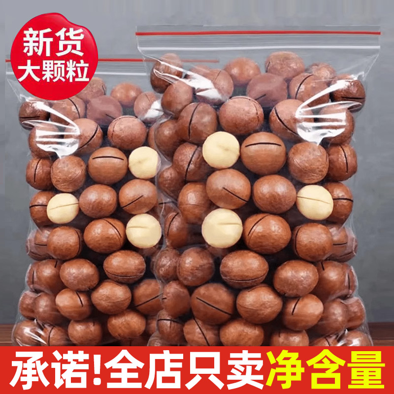 Macadamia Nut Milk Flavored Summer Fruit 500g Bulk Large Walnut Cream Macadamia Nuts