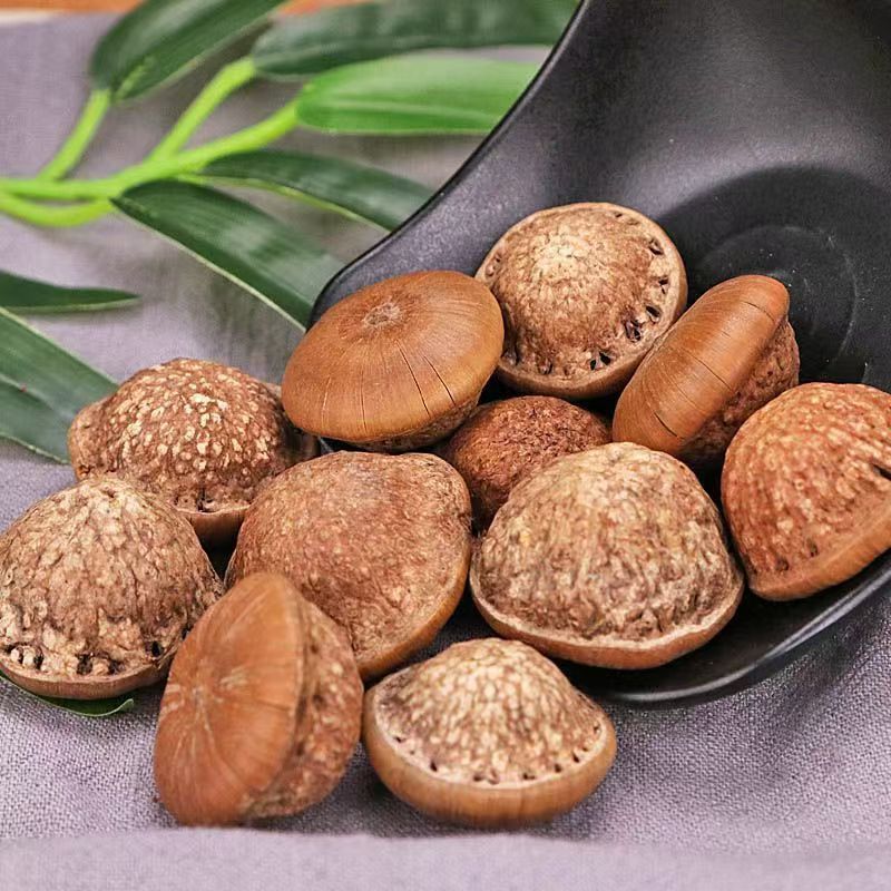 Source Origin Guangxi Sulfur-Free Fengliu Fruit Chinese Medicinal Materials Wholesale New Stone Fruit Wine Ingredients Original Color Turtle Head