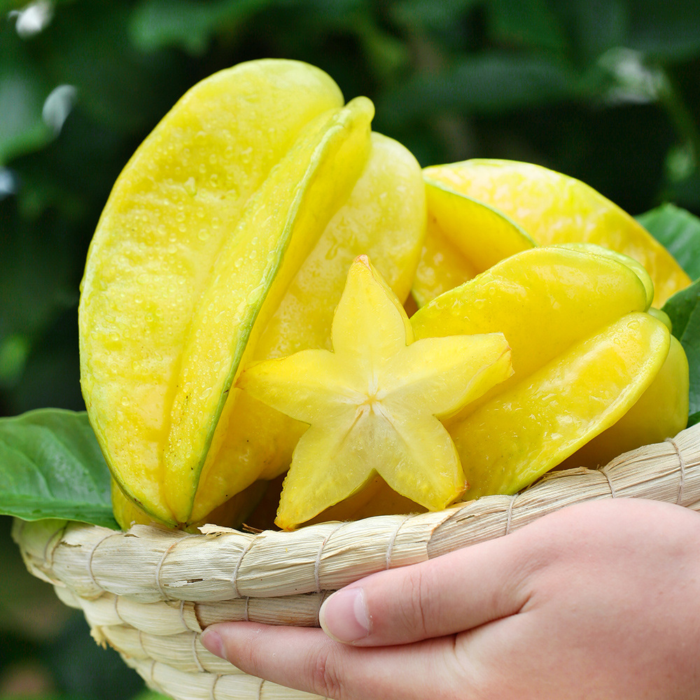 Fujian Zhangzhou Sweet Star Fruit Fresh Fruit Five-Pointed Star Fruit 2.5kg Pieces Large Fruit Whole Box Free Shipping Red Star Fruit First-Grade Fruit