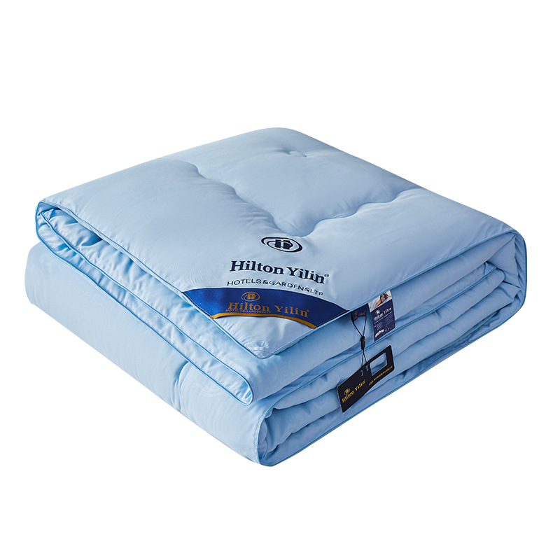 Hilton Hotel Embossed Silk Quilt Thick Winter Quilt Dormitory Mulberry Silk Spring and Autumn Quilt Core Gift Summer Cool Quilt Wholesale