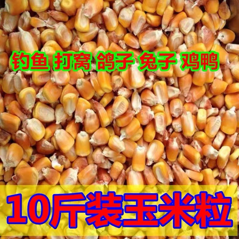 2024 New Northeast Large Corn Kernels 5kg Feed for Chickens, Ducks, Pigeons, Fishing, Brewing, New Grain Dry Corn Kernels, Pigeon Feed