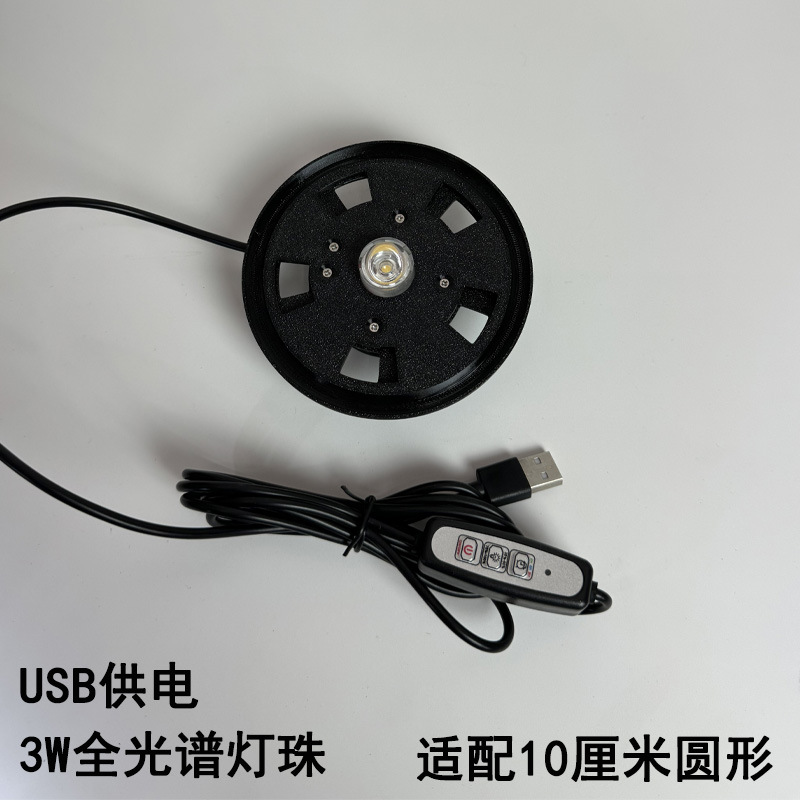 Moss Plant Light Breathable Eco Bottle Light Glass Micro Landscape Spotlight USB Fish Cylinder Light LED Water Plant Light Night Light