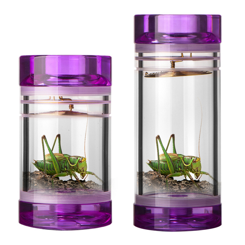 Cricket Tools, Cricket Cage, Bamboo Weaving, Bamboo-Made Exquisite Cricket Household Outdoor Kidsren's Multi-Functional Cricket Jar