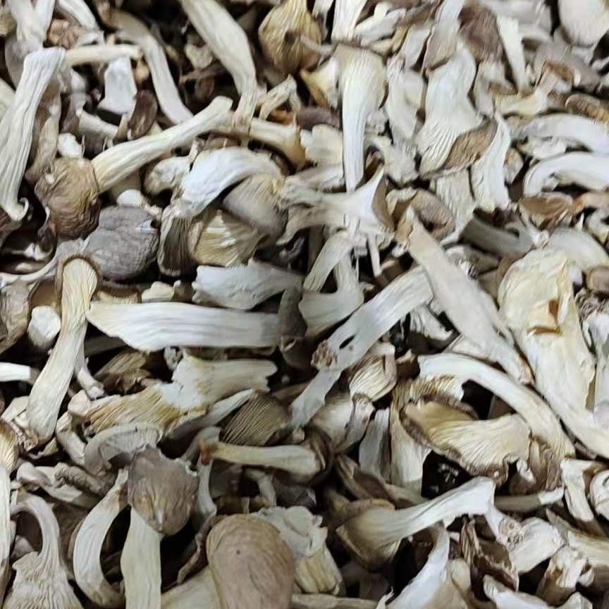 New Arrival of Xiu Zhen Mushrooms from Gutian County, Fujian Province, 250G/500G Edible Agricultural Products Recommended for Cold Dishes