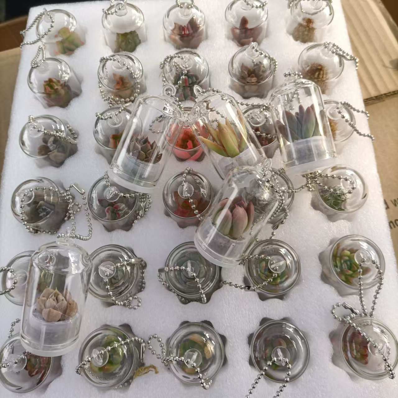 Creative Succulent Keychain Pendant Miniature Plant Miniature Landscape Student Gift