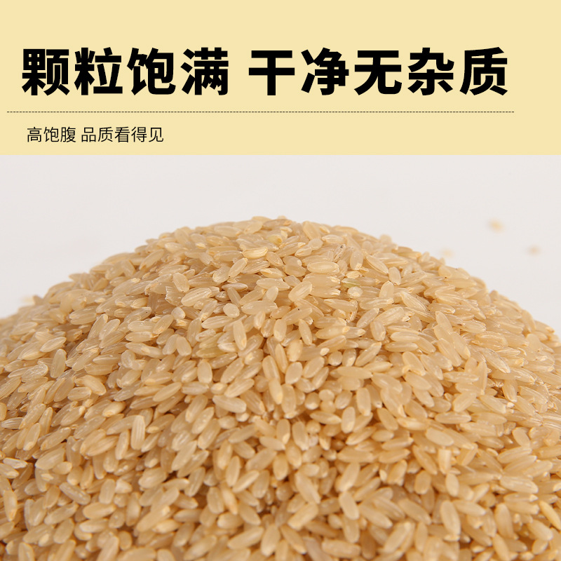 Yuan Valley Organic Brown Rice New Rice Whole Grains Source Factory 500g Vacuum