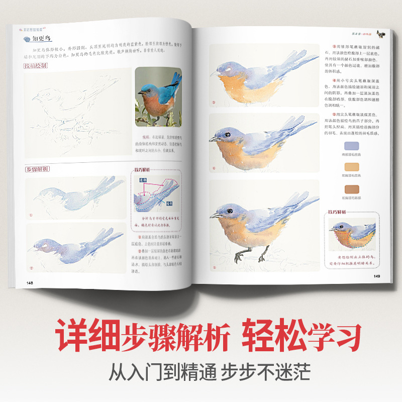 Basic Watercolor Tutorial, Zero-Based Introduction to Landscape Copying Sample Book, Mastering Album Line Drawing, Comic Character Painting