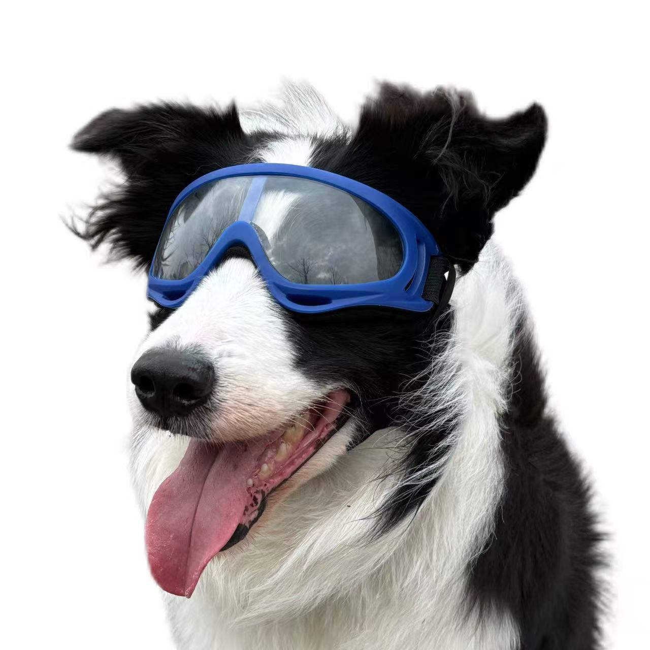 Солнцезащитные очки для собак, бордер-колли, золотистый ретривер, корги, французский бульдог, мейн-кун, защитные очки с двойными ремешками