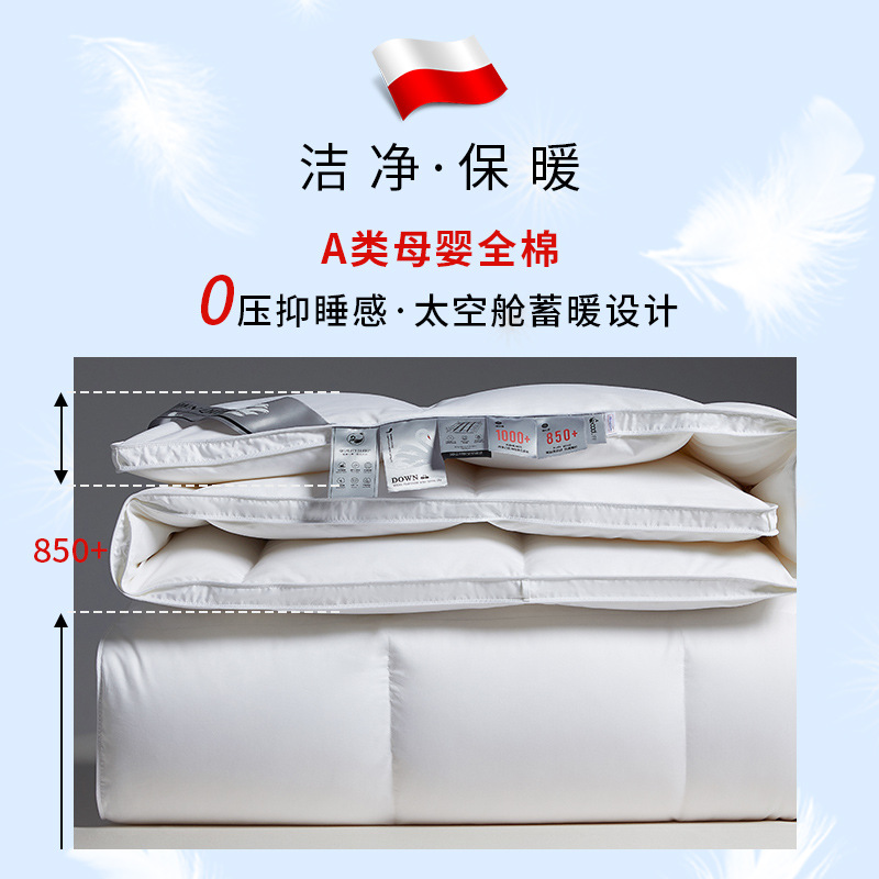 120-Count Pure Cotton Long-Staple Cotton 95% White Goose down Quilt Core Spring & Fall Quilt Winter Quilt Hotel B&B Four-Season down Quilt Manufacturer