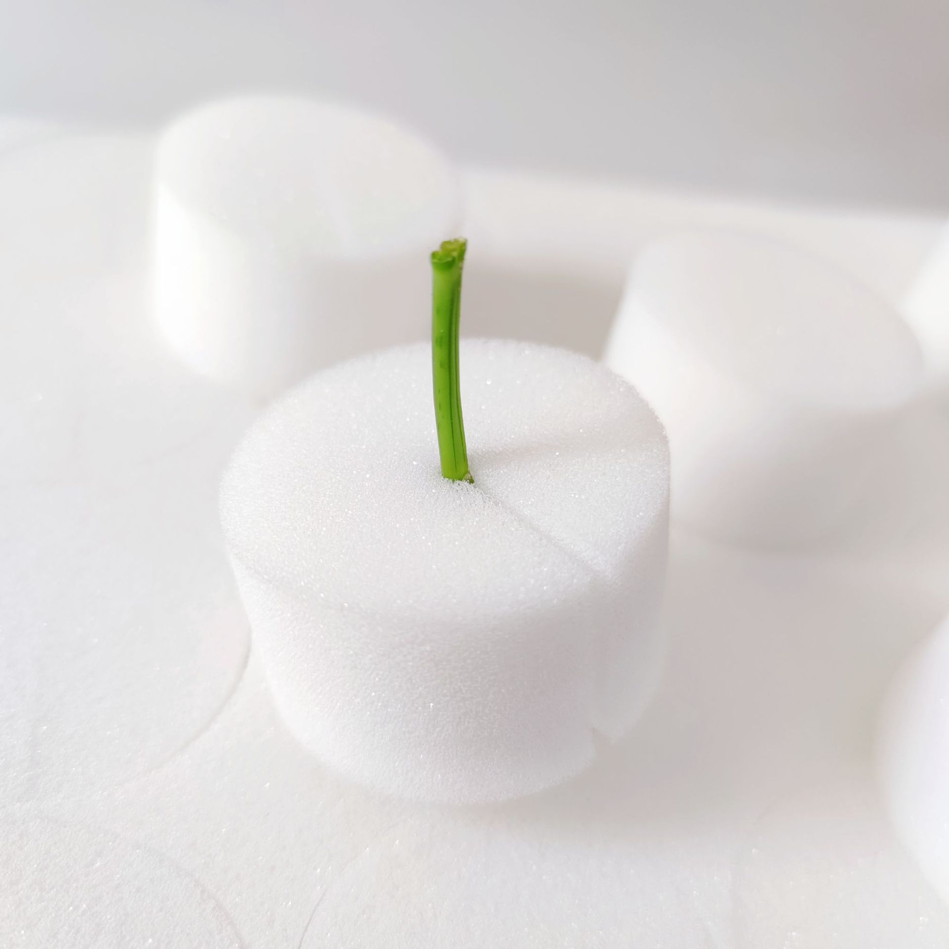 32 # Hydroponic Vegetable Soilless Cultivation Equipment Green Plant Seedling Planting Cotton One-Word Mouth Planting Sponge Wholesale