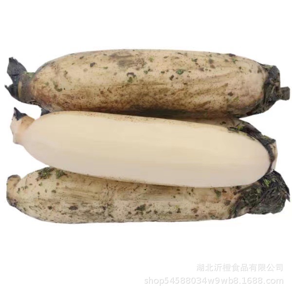 Honghu Pink Lotus Root Soup, Fresh Farm Specialty Vegetables, Glutinous Rice Lotus Root Stew, Nine-Hole Lotus Root, Red Lotus Root, Sf Express