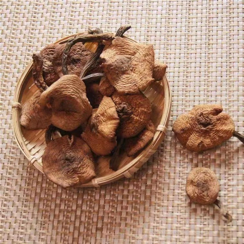 Northeast Wild Hazelnut Mushroom Dry Goods Chicken Stewed Mushrooms Wholesale Changbai Mountain Local Specialty Real Mushrooms Rootless Net Weight Delivery