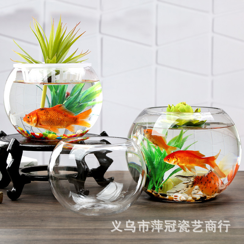 Micro landscape round spherical transparent living room ecological glass flowerpot small goldfish turtle jar wholesale hydroponic vase wholesale